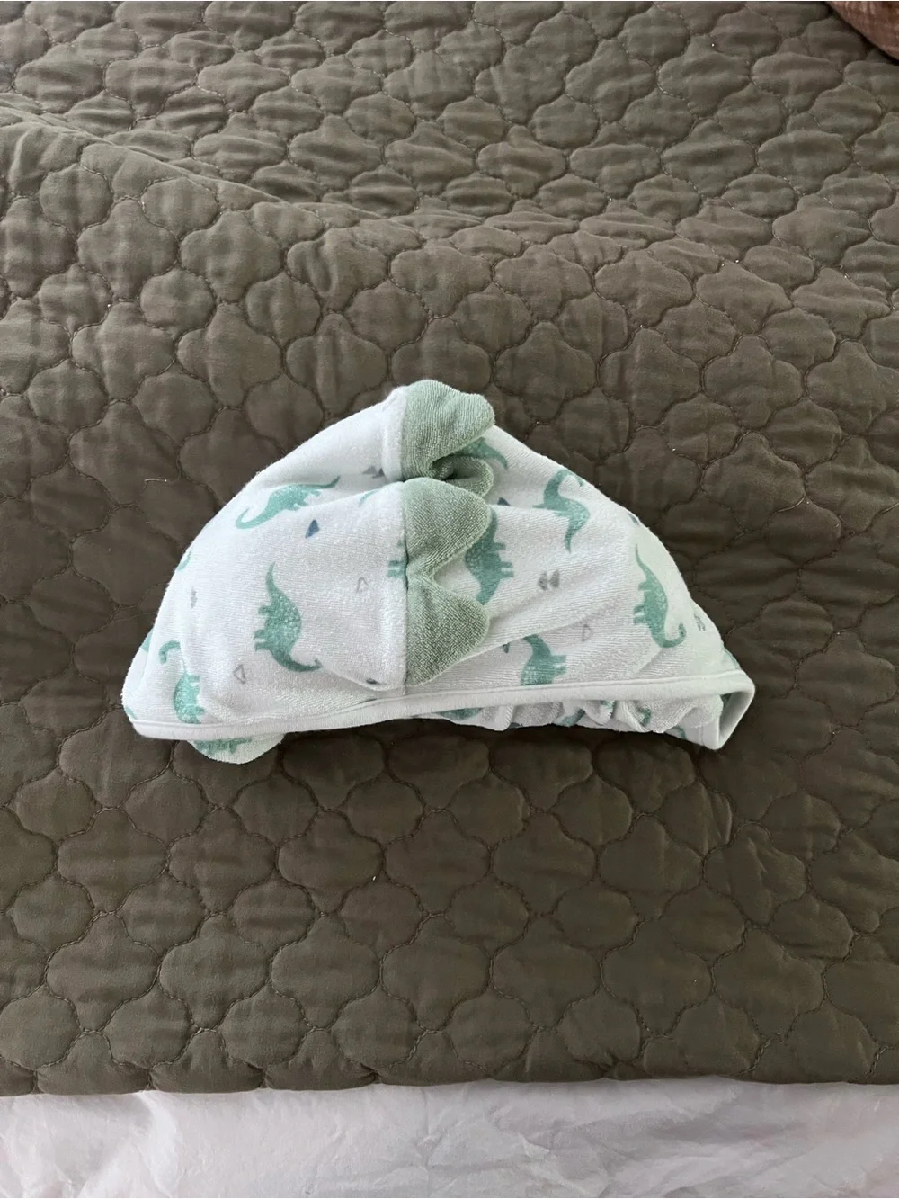 Carters cozy hooded